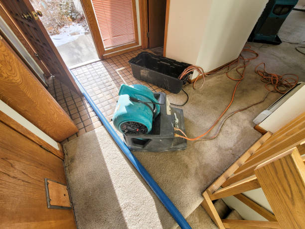 Best Water damage repair service  in Wewa, OK