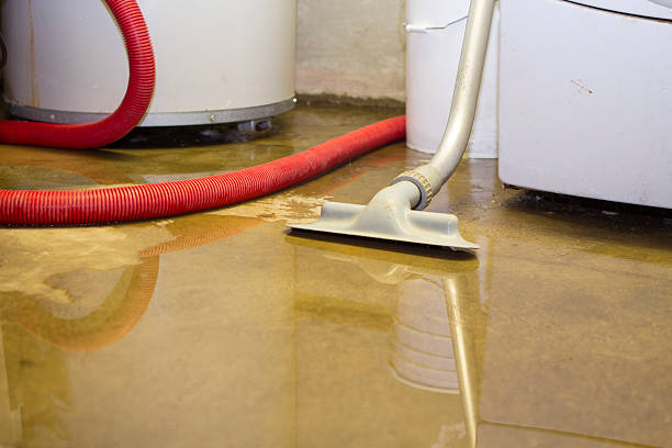 Best Water damage cleanup near me  in Wewa, OK