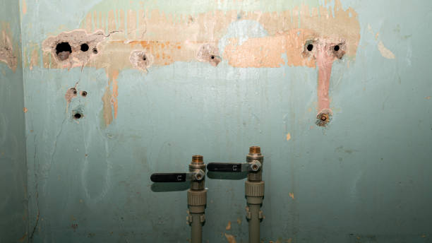 Best Water damage restoration experts  in Wewa, OK